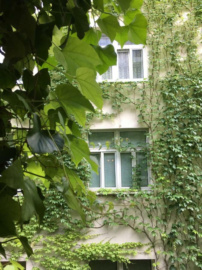 Charmante Altbauapartments Apostelgasse ウィーン エクステリア 写真